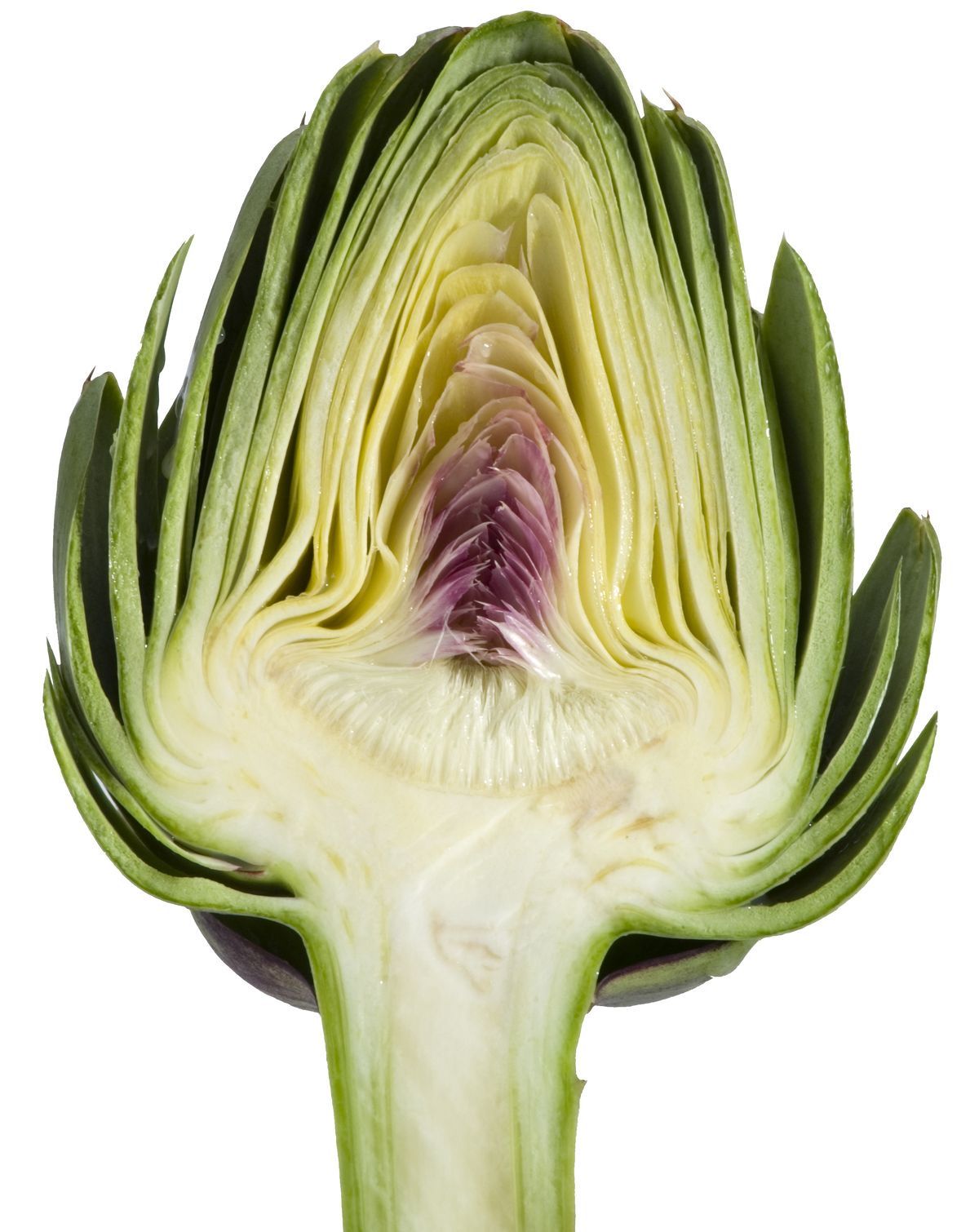 Aura Factor